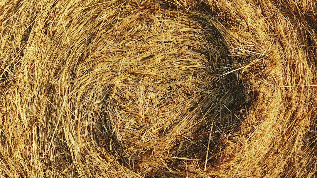 Agro-Biomass Pellets